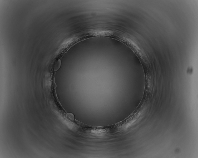 X0000100760357200806191213