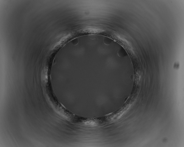 X0000100760358200806191213