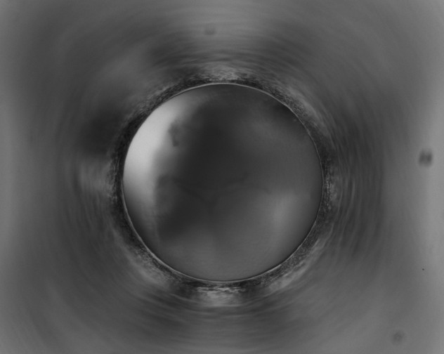 X0000100760359200806191213