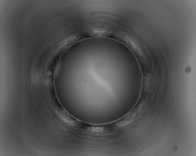 X0000100760361200806191213