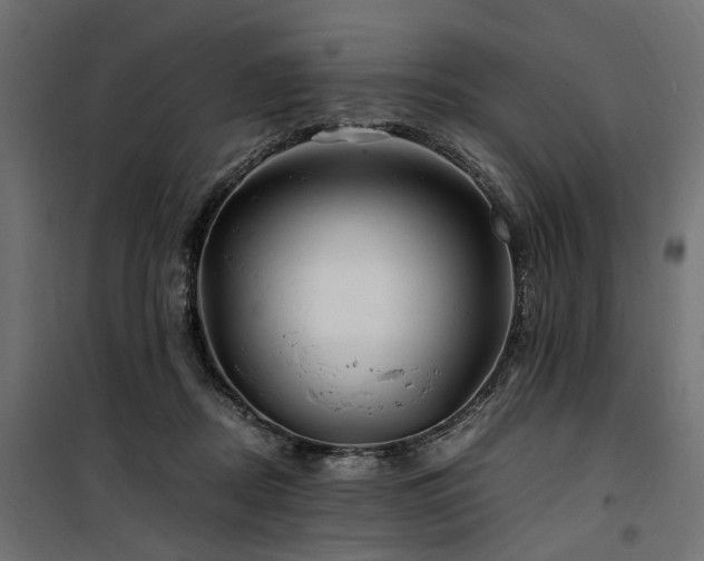 X0000100760362200806191213