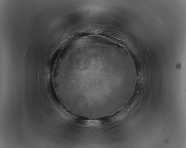 X0000100760363200806191213