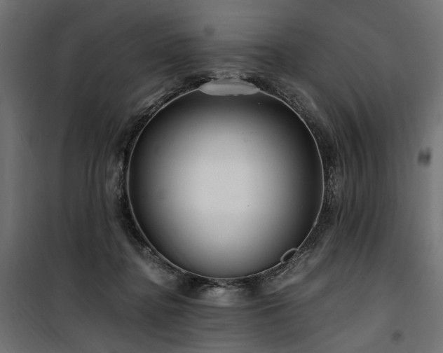 X0000100760364200806191213