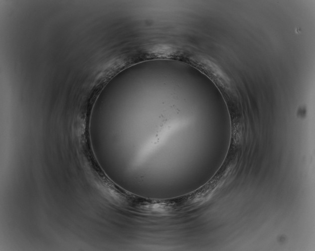 X0000100760365200806191213