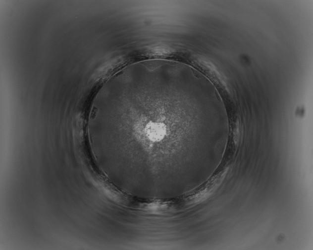 X0000100760366200806191213