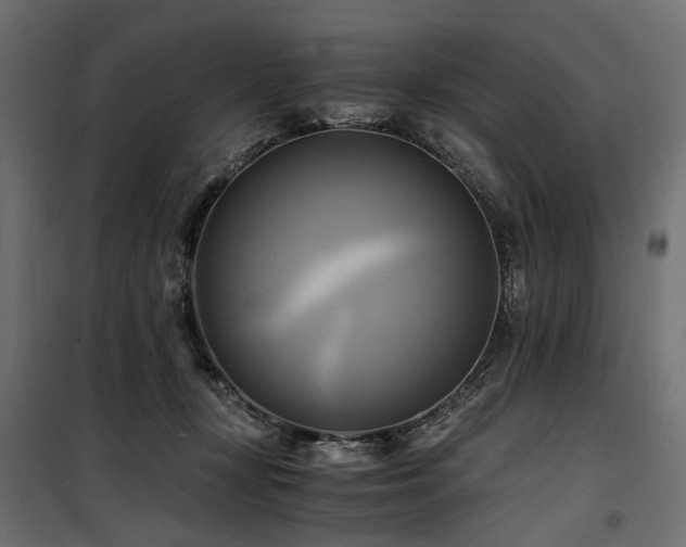 X0000100760367200806191213