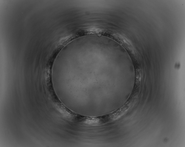 X0000100760369200806191213