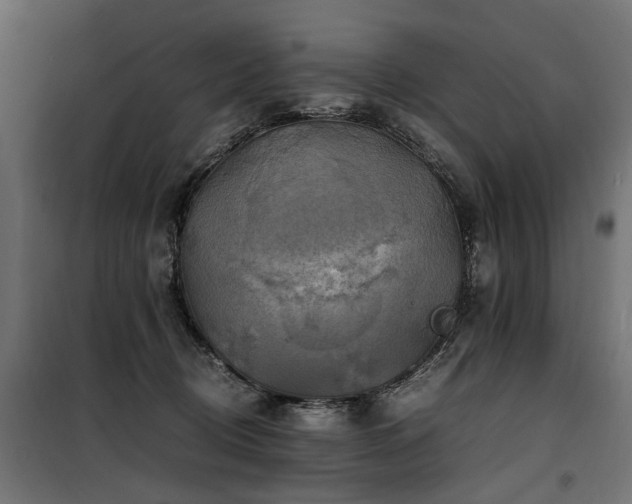 X0000100760370200806191213