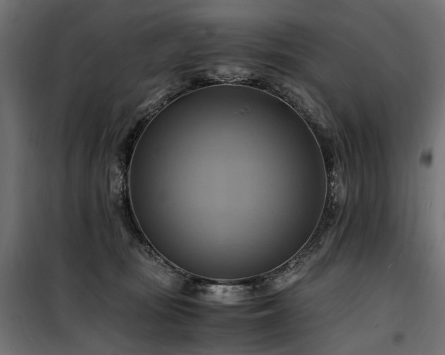 X0000100760371200806191213