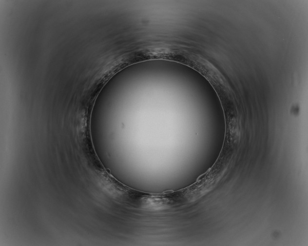 X0000100760372200806191213