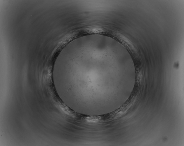 X0000100760373200806191213