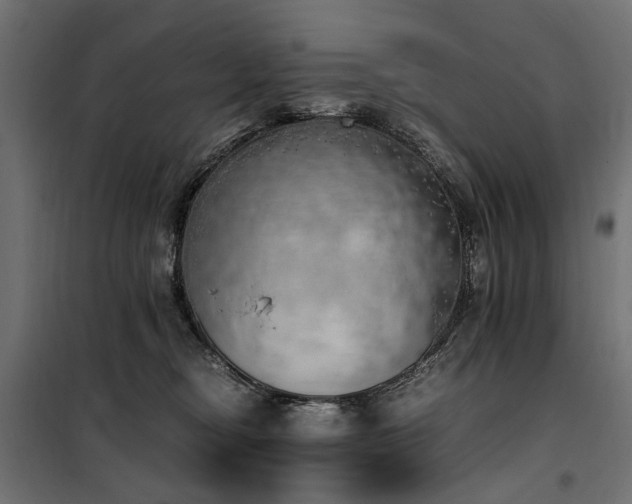 X0000100760374200806191213