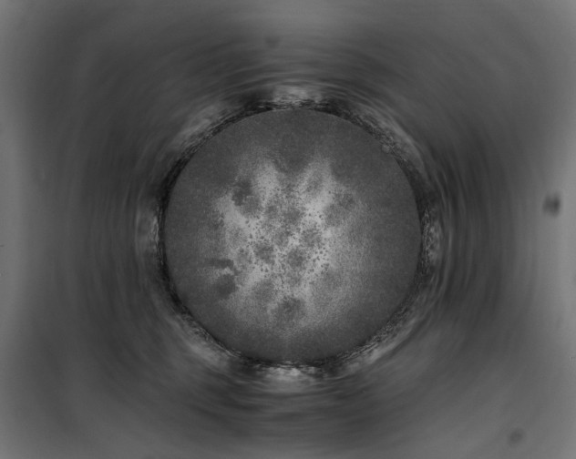 X0000100760375200806191213