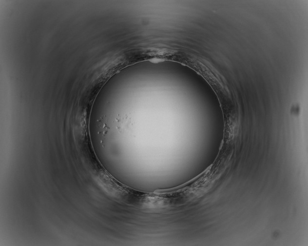 X0000100760376200806191213