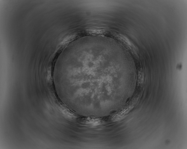 X0000100760377200806191213