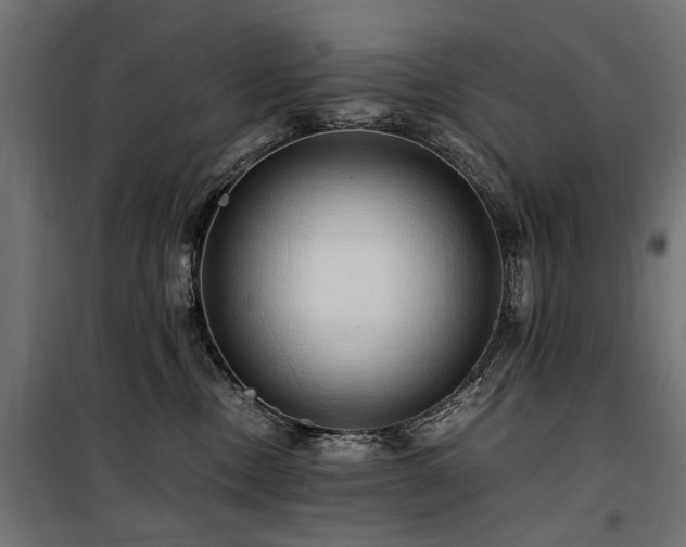 X0000100760378200806191213