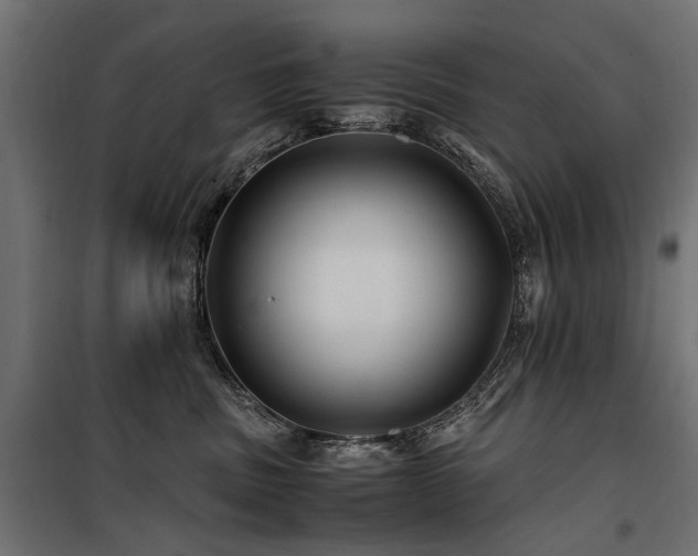 X0000100760379200806191213