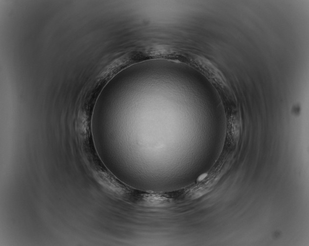 X0000100760380200806191213