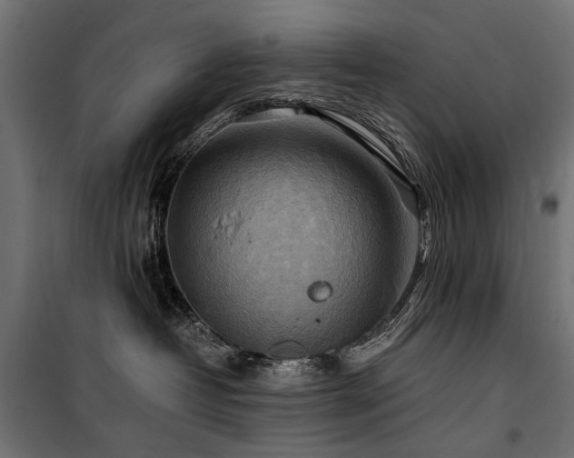 X0000100760382200806191213