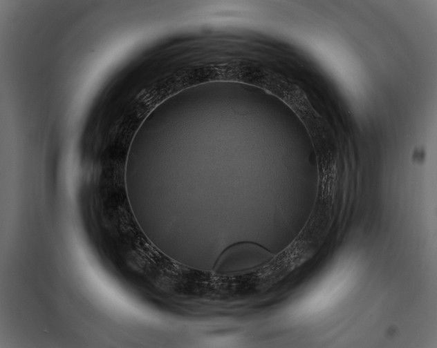 X0000100760383200806191213