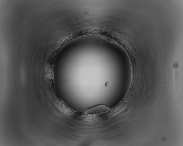 X0000100760384200806191213