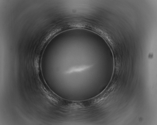 X0000100760386200806191212