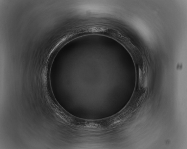 X0000100760387200806191212