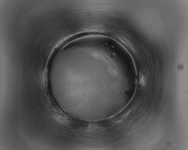 X0000100760388200806191212