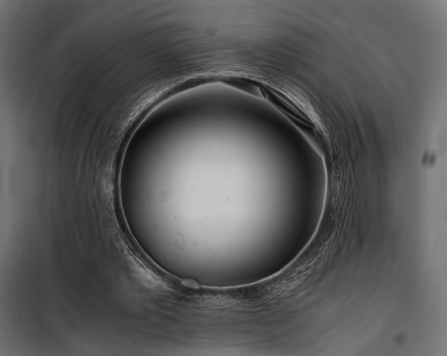 X0000100760389200806191212