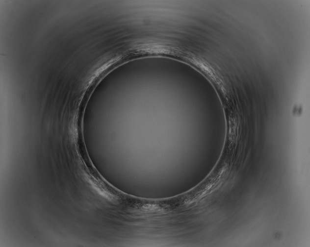 X0000100760390200806191212