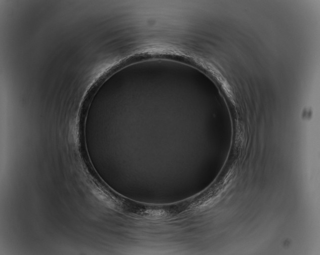 X0000100760391200806191212