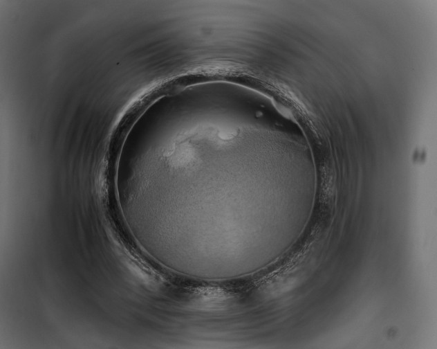 X0000100760392200806191212