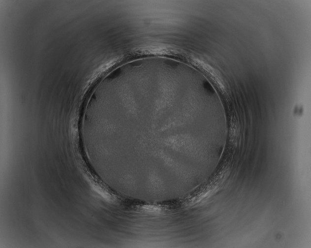 X0000100760394200806191212