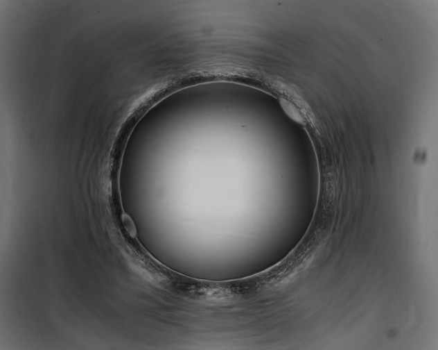 X0000100760395200806191212