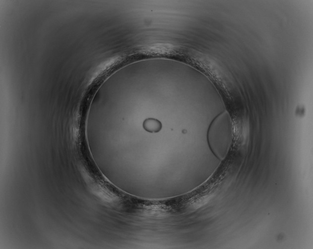 X0000100760396200806191212