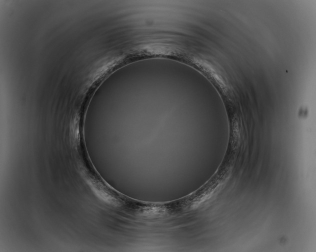 X0000100760398200806191212