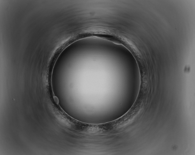 X0000100760399200806191212