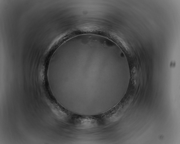 X0000100760400200806191212