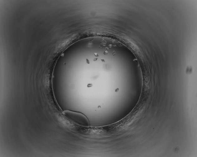 X0000100760401200806191212