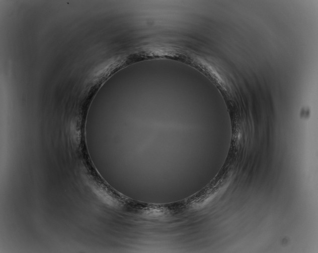 X0000100760402200806191212