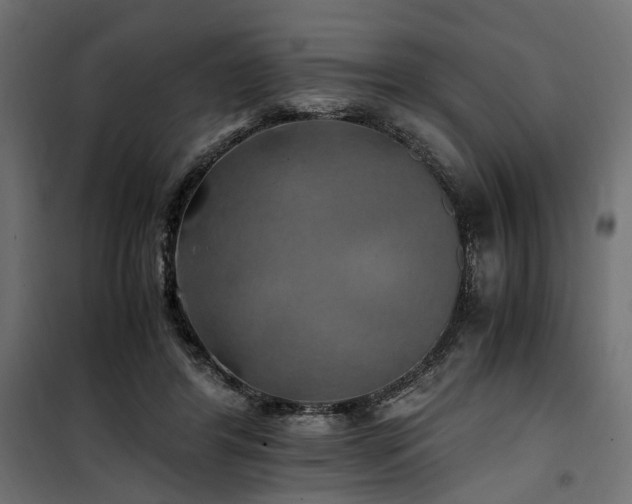 X0000100760404200806191212