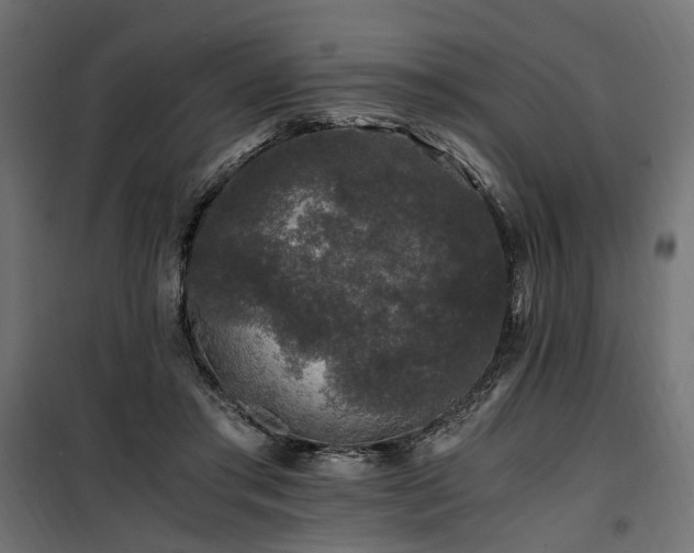 X0000100760405200806191212