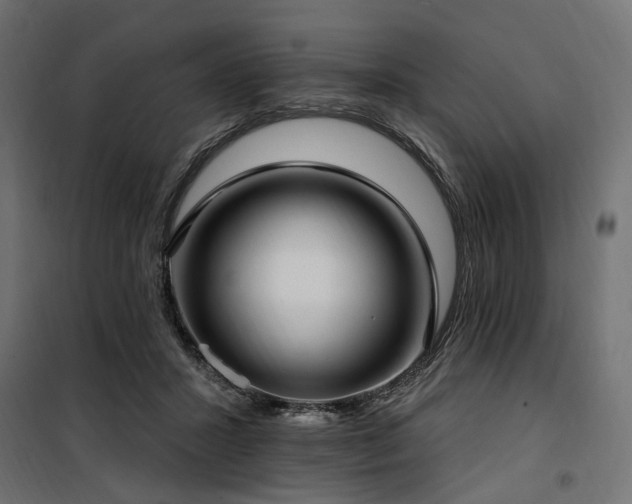 X0000100760407200806191212