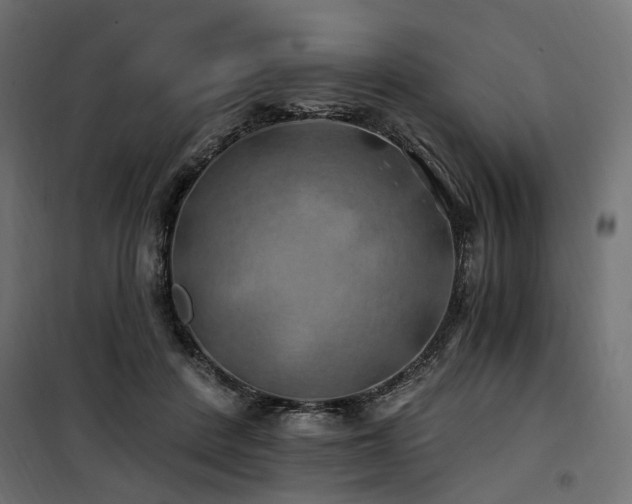 X0000100760408200806191212