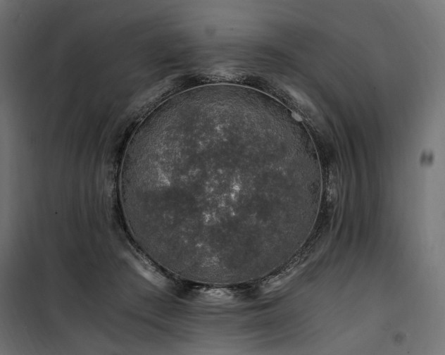 X0000100760409200806191212