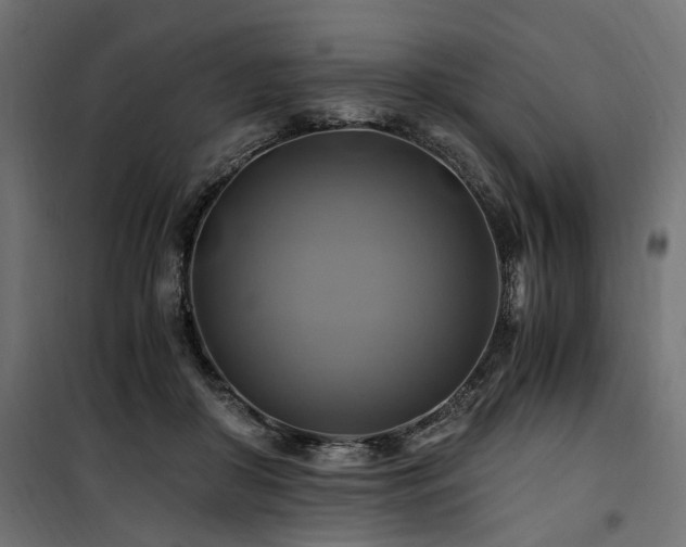 X0000100760410200806191212