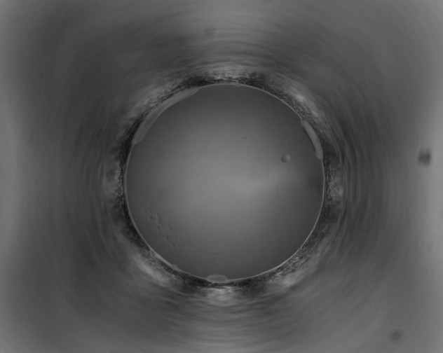 X0000100760411200806191212