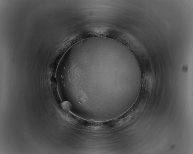 X0000100760412200806191212