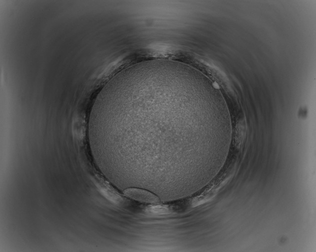 X0000100760413200806191212