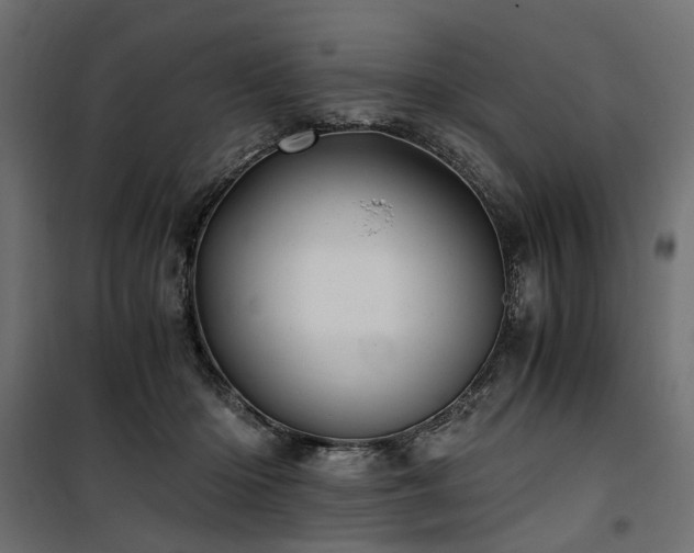 X0000100760414200806191212